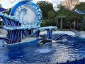 Kids_FL-Day8_11-2016 (12)